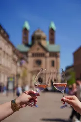 Wein am Dom
