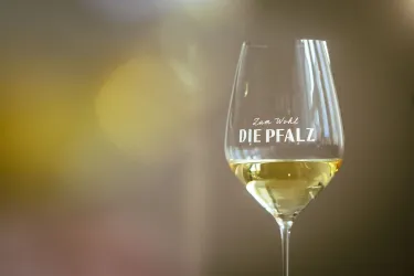 Wein am Dom 2026