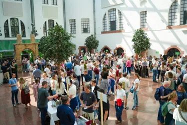 Wein am Dom 2026