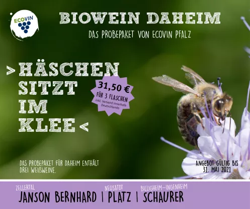 Ecovin Angebot "Häschen sitzt im Klee"