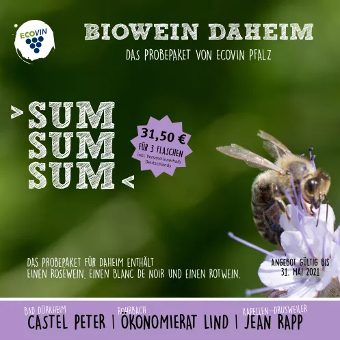 Ecovin Angebot "Sum sum sum"